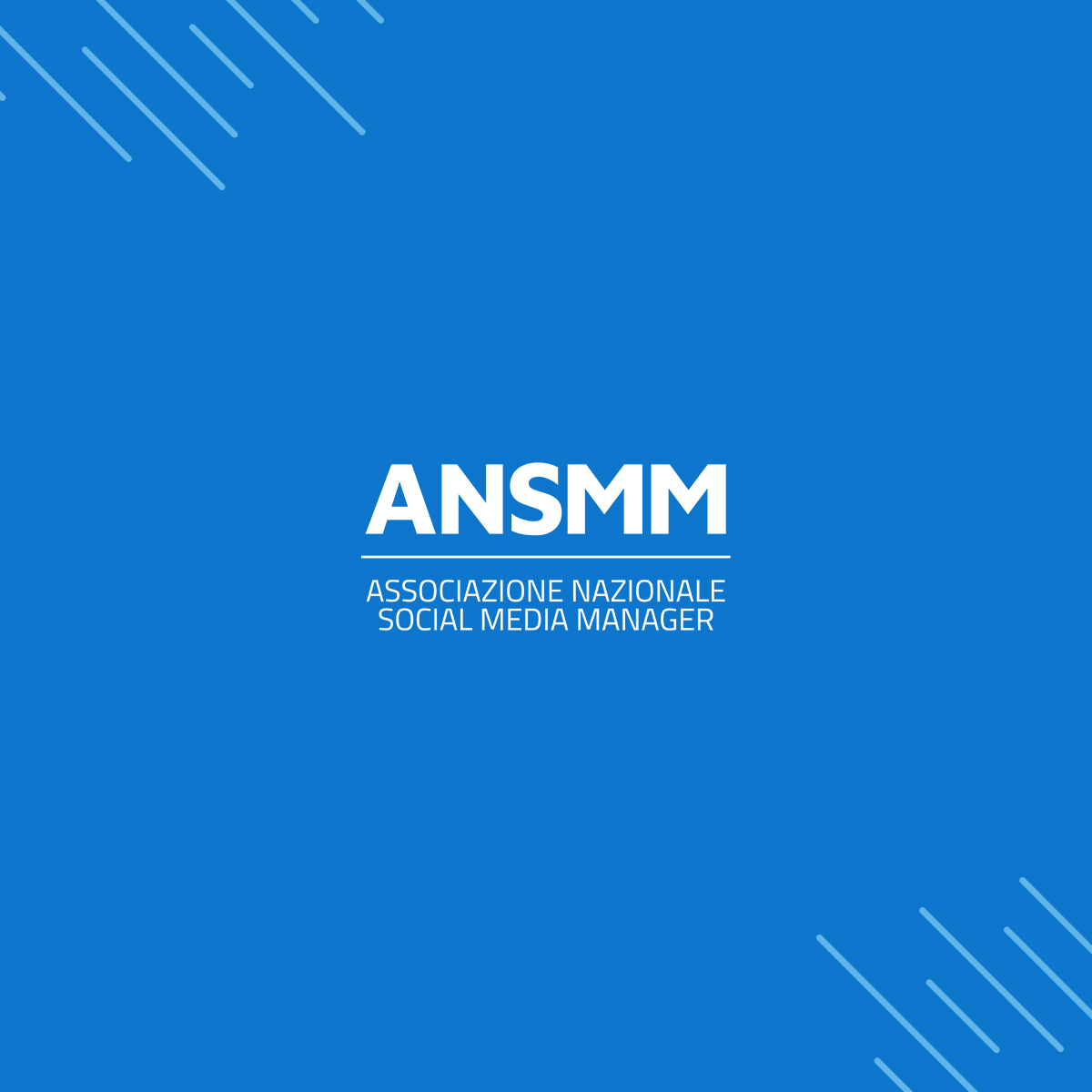 ANSMM